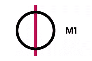 M1